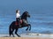 Woman riding horse on beach of sea. Stallion stands on hind legs