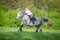 Woman riding a horse on the field