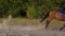 Woman riding horse by gallop at sunset. Horseback riding in slow motion. Horseman gradually disappears from the frame