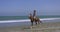 Woman riding on a horse on the sand on a sunny day