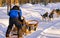 Woman riding husky sledge in Lapland in Finland reflex