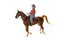 Woman riding Saddlebred horse