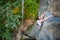 Woman rock climber is climbing on a rocky wall