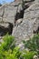 Woman rock climber climbs on a rock