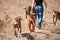 Woman with rodesian ridgeback dogs