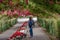 Woman in a rose tunnel