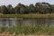 A woman rowing on the Barwon River in Geelong, Australia