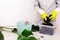 A woman in rubber gloves prepares the ground for planting a tropical monstera flower in a flower pot.