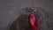 Woman in rubber red waterproof boots walks through autumn mud puddles in cold weather