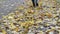 Woman rubber shoes walk toward park path autumn colorful leaves