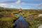 Woman run free jumping little meandering stream in high country