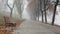 Woman run in park in foggy autumn morning