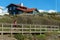 Woman is running in coast side of Asa Backgroun Swedish Summer House