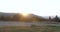 Woman running on a countryside road at sunset.