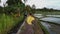 Woman running among rice fields in Bali