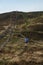 A woman is running among the Scottish hills in the park