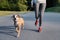 Woman in running suit jogging with her dog. Young fit female and