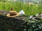 Woman`s day off concept. Reading outdoors. Hat, open book, glass of ripe berries, pair of shoes. Copy space