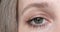 Woman`s eye in close-up. Greyish green female eye blinking at camera.
