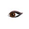 Woman`s eye icon. eye with perfectly shaped eyebrow
