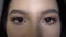 Woman`s face beautiful eyes Brown-eyed girl looking at the camera closeup