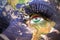 Woman`s face with planet Earth texture and hungarian flag inside the eye.