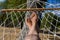 Woman\'s feet resting on a rope hammock tied to a tree