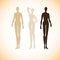 Woman`s figure posed silhouettes