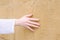 Woman\'s hand on the background of a yellow brick wall