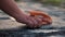 A woman`s hand brushes and foams the carpet pile. Slow motion. Close-up