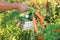 A woman`s hand carries a basket of vegetables . fresh vegetables from the garden in the basket are carrots,cucumbers and garlic.