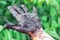 Woman`s hand covered with therapeutic mud, medical procedures