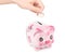 Woman\'s hand dropping a coin piggy bank