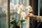 A woman\\\'s hand gently touches the white petals of an orchid on the window