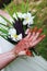 Woman\'s hand with henna design and fragapani bouquet