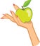 Woman\'s hand holding apple . illustration