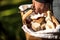 WomanÂ´s Hand holding a basket with fresh raw Boletus Edulis inside, Mushroom Hunting