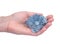 Woman`s hand holding blue celestite cluster