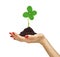 Woman\'s hand holding a clover plant growing out of the ground