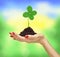 Woman`s hand holding a clover plant growing out of the ground