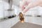 Woman\'s Hand holding cockroach on kitchen background