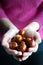 Woman`s hand holding  conkers