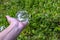 Woman`s hand holding a crystal ball with white reflected flowers in it