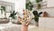 Woman\\\'s hand holding daisies, spring and flowers idea, over kitchen and living room with houseplants, urban jungle