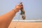 A woman`s hand holding a discarded lightbulb covered with barnacles during a beach cleanup