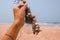 A woman`s hand holding a discarded lightbulb covered with barnacles during a beach cleanup