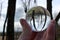 Woman`s hand holding glass ball with upside down image of bare copse of trees