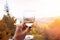 Woman`s hand holding a glass of white wine on the background of autumn wineyard