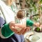 Woman`s hand holding growing avocado seed in water. Plant parent concept