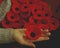 Woman`s Hand holding Knitted Poppy for Charity